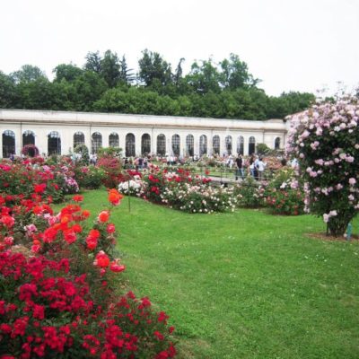 Cinque iniziative culturali imperdibili per grandi e piccini